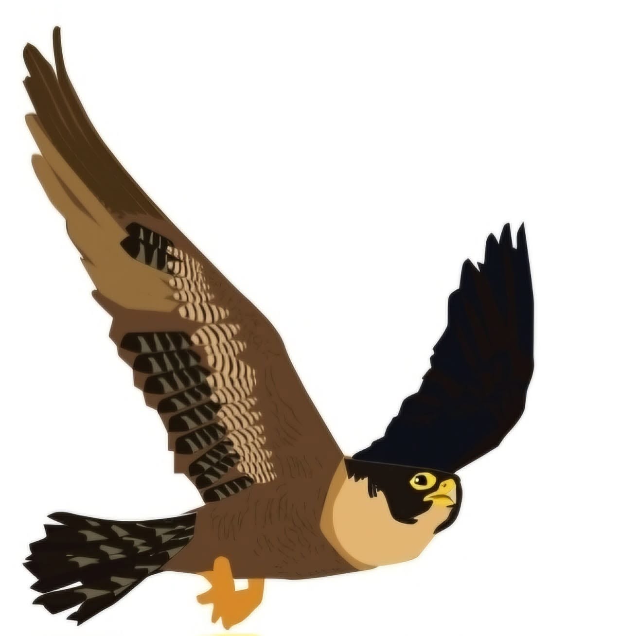 Illustrated falcon in flight